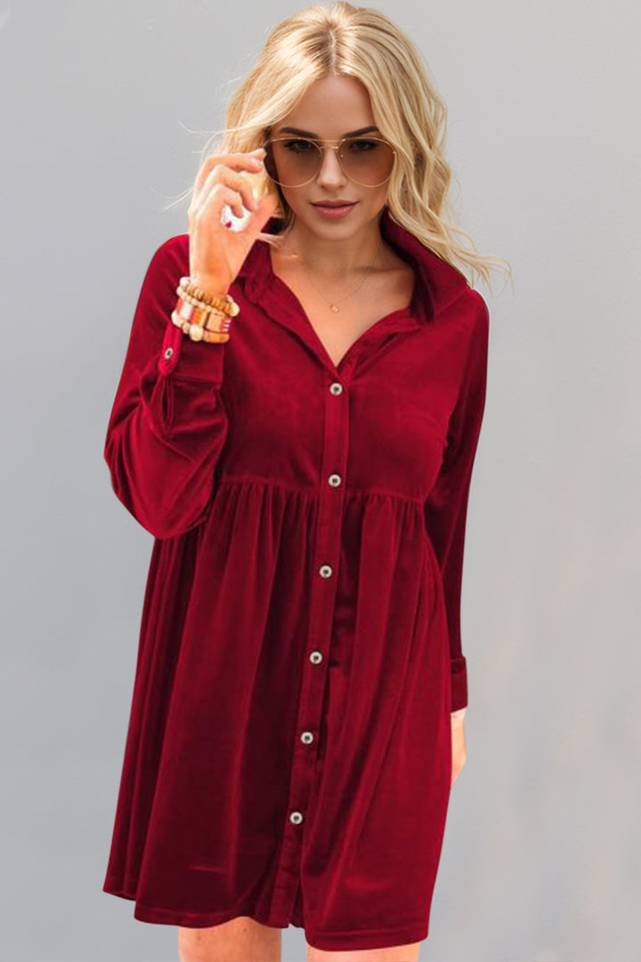 Oh Collared Neck Long Sleeve Mini Dress